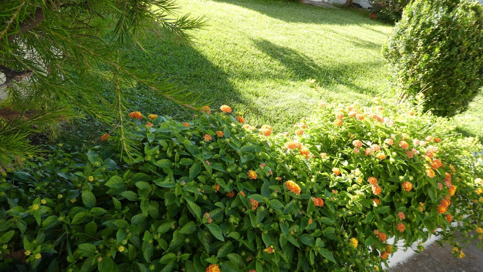 B&B Oliena Bed & Breakfast 2*